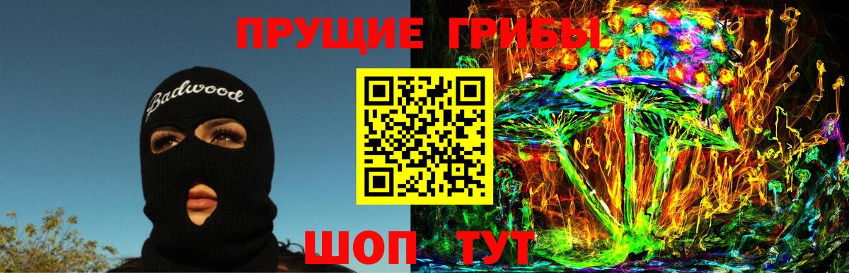 Фрязино  Псилоцибиновые грибы мухоморы  Вход с VPN  Псилоцибиновые грибы Psilocybe 
